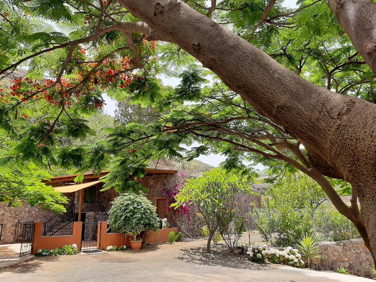 Peaceful House Set On A Vineyard & Work Friendly Vila Valsequillo Exterior foto