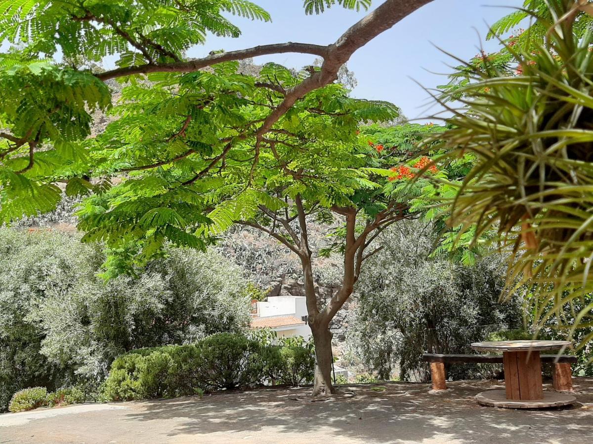 Peaceful House Set On A Vineyard & Work Friendly Vila Valsequillo Exterior foto