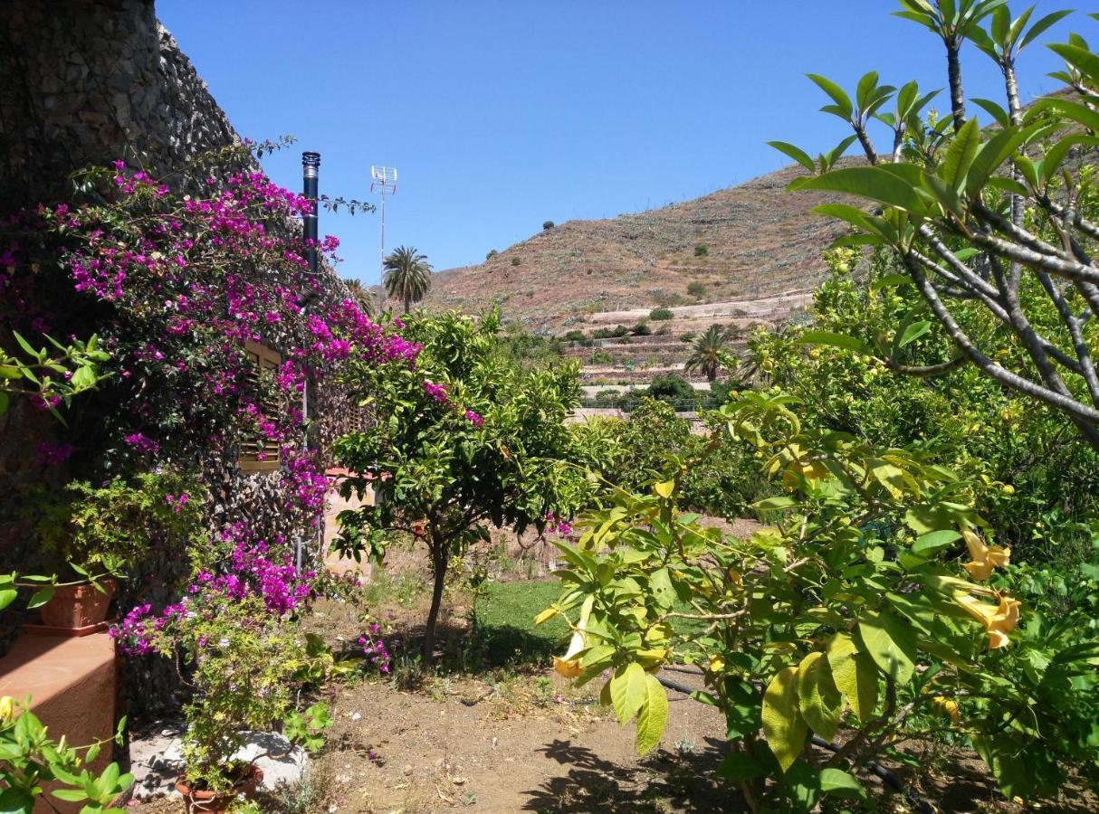 Peaceful House Set On A Vineyard & Work Friendly Vila Valsequillo Exterior foto