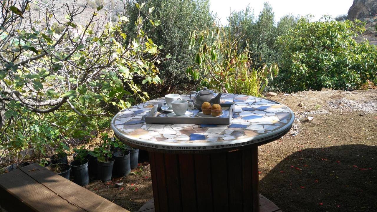 Peaceful House Set On A Vineyard & Work Friendly Vila Valsequillo Exterior foto